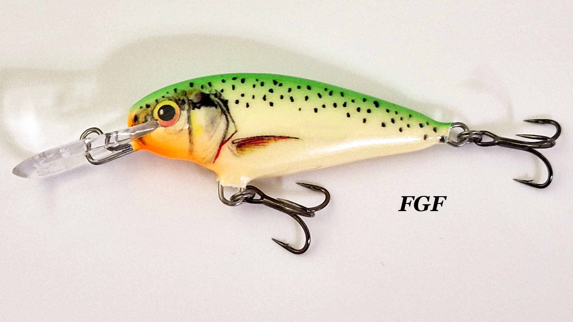 FGF