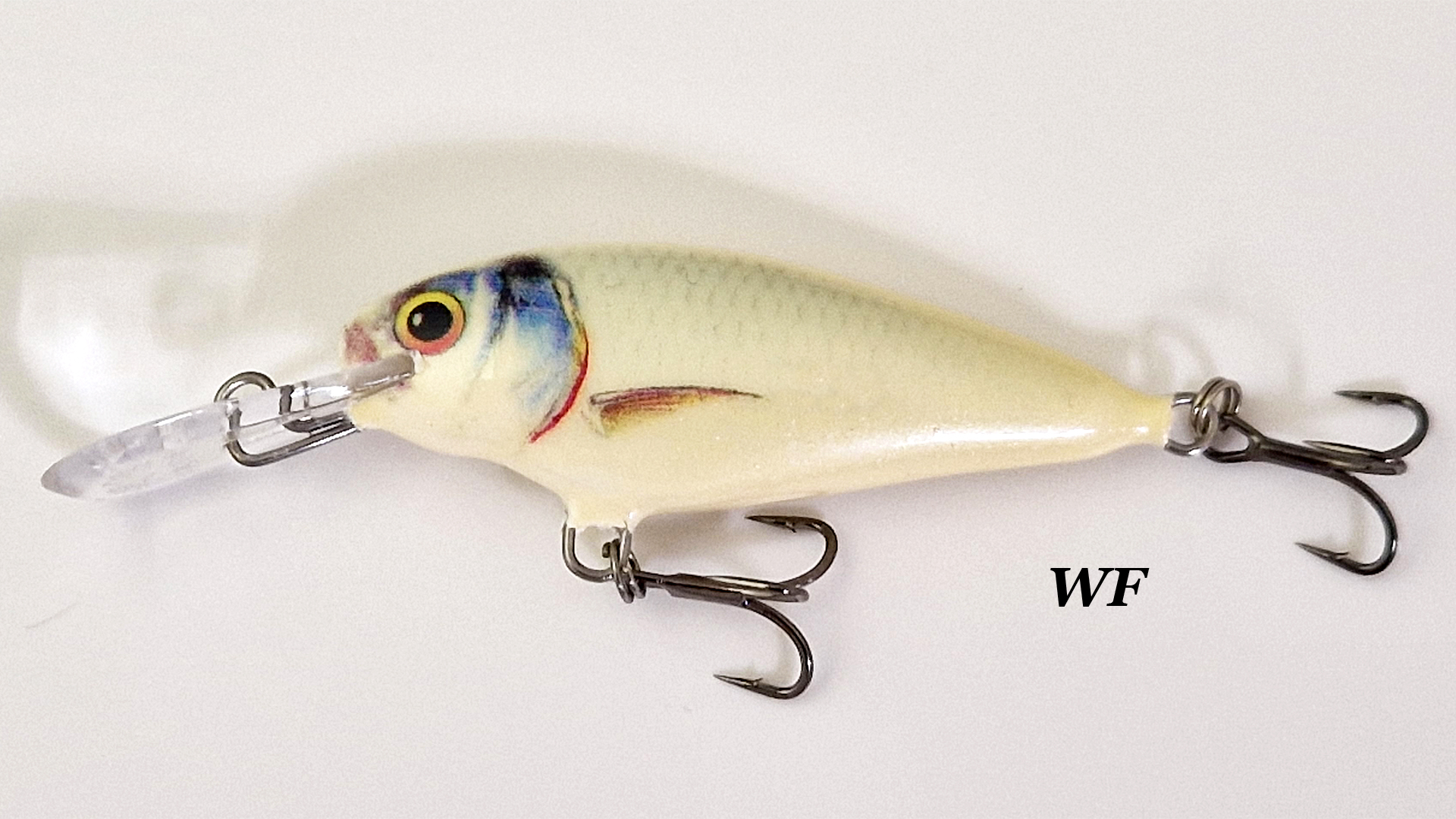 WF